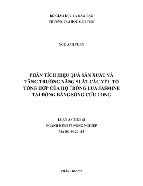 Luận án tiến sĩ phân tích hiệu quả sản xuất và tăng trưởng năng suất các yếu tố tổng hợp của hộ trồng lúa jasmine tại đồng bằng sông cửu long