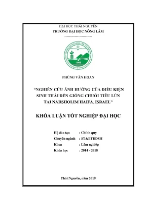 Luận văn nghiên cứu ảnh hưởng của điều kiện sinh thái đến giống chuối tiêu lùn tại nahsholim haifa israel