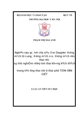 Luận án tiến sĩ nghiên cứu giá trị của siêu âm doppler động mạch tử cung động mạch não động mạch rốn thai nhi và thử nghiệm nhịp tim thai không kích thích trong tiên lượng thai nhi ở thai phụ tsg