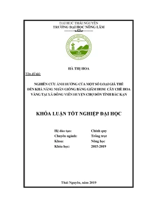 Luận văn nghiên cứu ảnh hưởng của một số loại giá thể khả năng nhân giống bằng giâm hom cây chè hoa vàng tại xã đông viên huyện chợ đồn tỉnh bắc kạn