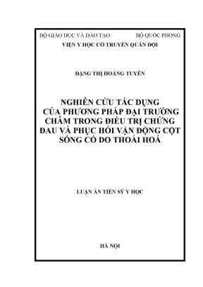 Luận án tiến sĩ nghiên cứu tác dụng của phương pháp đại trường châm trong điều trị chứng đau và phục hồi vận động cột sống cổ do thoái hoá