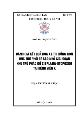 Luận án tiến sĩ đánh giá kết quả hoá xạ trị đồng thời ung thư phổi tế bào nhỏ giai đoạn khu trú phác đồ cisplatin etoposide tại bệnh viện k