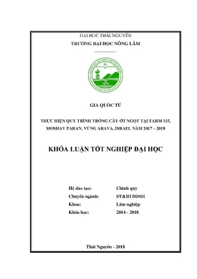 Luận văn thực hiện quy trình trồng cây ớt ngọt tại farm 115 moshav paran vùng arava israel năm 2017 2018