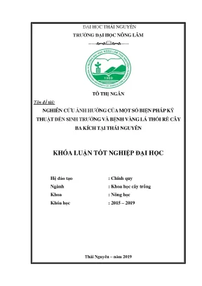 Luận văn nghiên cứu ảnh hưởng của một số biện pháp kỹ thuật đến sinh trưởng và bệnh vàng lá thối rễ cây ba kích tại thái nguyên