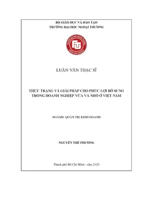 Luận văn thạc sĩ thực trạng và giải pháp cho phúc lợi bổ sung trong doanh nghiệp vừa và nhỏ ở việt nam