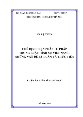 Luận án tiến sĩ luật học chế định biện pháp tư pháp trong luật hình sự việt nam những vấn đề lý luận và thực tiễn