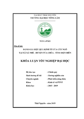 Luận văn đánh giá hiệu quả kinh tế của cây ngô tại xã xá nhè huyện tủa chùa tỉnh điện biên