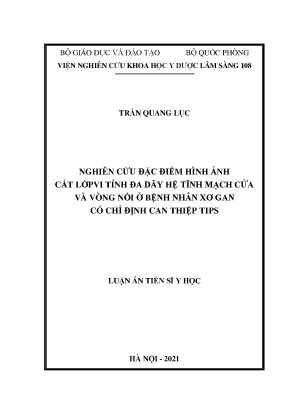 Luận án tiến sĩ nghiên cứu đặc điểm hình ảnh cắt lớp vi tính đa dãy hệ tĩnh mạch cửa và vòng nối ở bệnh nhân xơ gan có chỉ định can thiệp tips