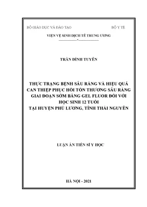 Luận án tiến sĩ thực trạng bệnh sâu răng và hiệu quả can thiệp phục hồi tổn thương sâu răng giai đoạn sớm bằng gel fluor đối với học sinh 12 tuổi tại huyện phú lương tỉnh thái nguyên