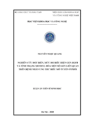 Luận án tiến sĩ sinh học nghiên cứu đột biến mức độ biểu hiện gen egfr và tình trạng methyl hóa một số gen liên quan trên bệnh nhân ung thư biểu mô tuyến ở phổi