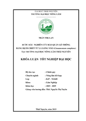 Luận văn bước đầu nghiên cứu bảo quản gỗ thông bằng dịch chiết từ lá long não cinnamomum camphora tại trường đại học nông lâm thái nguyên