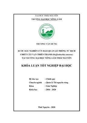 Luận văn bước đầu nghiên cứu bảo quản gỗ thông từ dịch triết cây vạn thiên thanh dieffenbachia amoena tại trường đại học nông lâm thái nguyên