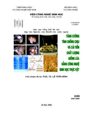 Luận văn tăng cường tính chống chịu và cải tiến chất lượng giống lúa bằng công nghệ sinh học thực vật