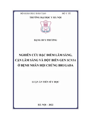 Luận án tiến sĩ nghiên cứu đặc điểm lâm sàng cận lâm sàng và đột biến gen scn5a ở bệnh nhân hội chứng brugada