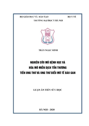 Luận án tiến sĩ nghiên cứu mô bệnh học và hóa mô miễn dịch tổn thương tiền ung thư và ung thư biểu mô tế bào gan