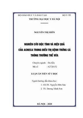 Luận án tiến sĩ nghiên cứu độc tính và hiệu quả của acneca trong điều trị bệnh trứng cá thông thường thể vừa