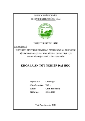 Luận văn thực hiện quy trình chăm sóc nuôi dưỡng và phòng trị bệnh cho đàn lợn nái sinh sản tại trang trại lợn hoàng văn viện phúc yên vĩnh phúc
