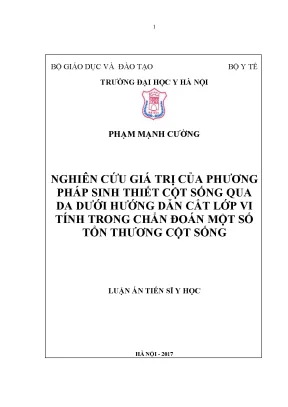 Luận án tiến sĩ nghiên cứu giá trị của phương pháp sinh thiết cột sống qua da dưới hướng dẫn cắt lớp vi tính trong chẩn đoán một số tổn thương cột sống