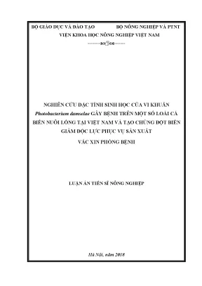Luận án tiến sĩ nghiên cứu đặc tính sinh học của vi khuẩn photobacterium damselae gây bệnh trên một số loài cá biển nuôi lồng tại việt nam và tạo chủng đột biến giảm độc lực phục vụ sản xuất vắc xin phòng bệnh