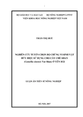 Luận án tiến sĩ nông nghiệp nghiên cứu tuyển chọn bộ chủng vi sinh vật hữu hiệu sử dụng cho cây chè shan camellia sinensis var shan ở yên bái