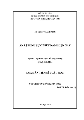 Luận án tiến sĩ án lệ hình sự ở việt nam hiện nay