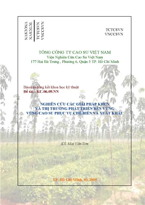Luận văn nghiên cứu các giải pháp khoa học công nghệ về thị trường phát triển bền vững vùng cao su phục vụ chế biến và xuất khẩu