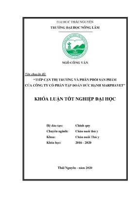 Luận văn tiếp cận thị trường và phân phối sản phẩm của công ty cổ phần tập đoàn đức hạnh marphavet
