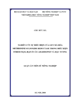 Luận án tiến sĩ nghiên cứu sự biểu hiện của gen mã hóa methionine sulfoxide reductase trong điều kiện stress mặn hạn ở cây arabidopsis và đậu tương