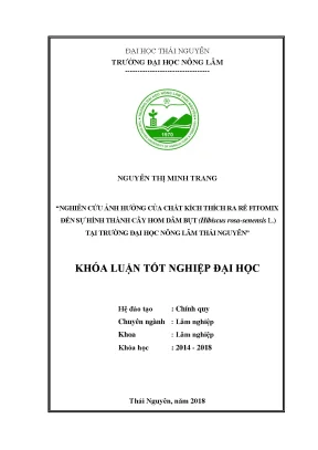 Luận văn nghiên cứu ảnh hưởng của chất kích thích sinh trưởng fitomix đến khả năng hình thành cây hom dâm bụt hibiscus rosa sinensis tại trường đại học nông lâm thái nguyên