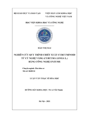 Luận văn thạc sĩ hóa học nghiên cứu quy trình chiết xuất curcuminoid từ củ nghệ vàng curcuma longa l bằng công nghệ enzyme