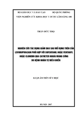 Luận án tiến sĩ nghiên cứu tác dụng giảm đau sau mổ bụng trên của levobupivacain phối hợp với sufentanil hoặc fentanyl hoặc clonidin qua catheter ngoài màng cứng do bệnh nhân tự điều khiển