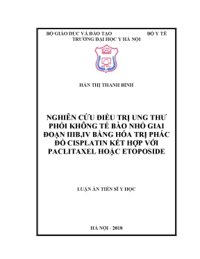 Luận án tiến sĩ nghiên cứu điều trị ung thư phổi không tế bào nhỏ giai đoạn iiib iv bằng hóa trị phác đồ cisplatin kết hợp với paclitaxel hoặc etoposide