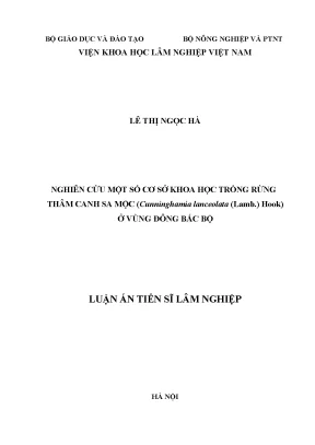 Luận án tiến sĩ nghiên cứu một số cơ sở khoa học trồng rừng thâm canh sa mộc cunninghamia lanceolata lamb hook ở vùng đông bắc bộ