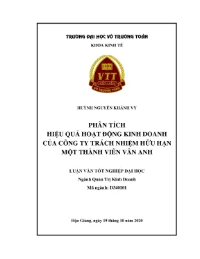 Luận văn tốt nghiệp quản trị kinh doanh phân tích hiệu quả hoạt động kinh doanh của công ty trách nhiệm hữu hạn một thành viên vân anh