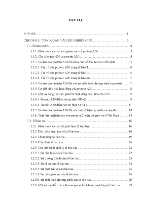 Luận án tiến sĩ công nghệ sinh học nghiên cứu vai trò điều hoà của gen mã hoá protein a20 và cơ chế phân tử tham gia kiểm soát quá trình sinh lý tế bào tua