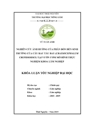 Luận văn nghiên cứu ảnh hưởng của phân bón đến sinh trưởng của cây rau tàu bay crassocephalum crepidioides tại vườn ươm mô hình thực nghiệm khoa lâm nghiệp