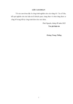 Luận án tiến sĩ khoa học giáo dục phát triển năng lực nghề nghiệp giáo viên cho sinh viên dân tộc thiểu số ở các trường đại học khu vực miền núi phía bắc