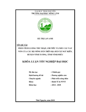 Luận văn phân tích luồng thu nhập chi tiêu và nhu cầu vay vốn của các hộ nông dân trên địa bàn xã ngũ kiên huyện vĩnh tường tỉnh vĩnh phúc