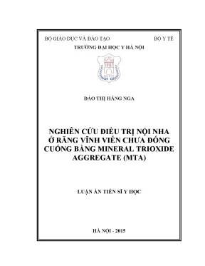 Luận án tiến sĩ nghiên cứu điều trị nội nha ở răng vĩnh viễn chưa đóng cuống bằng mineral trioxide aggregate mta