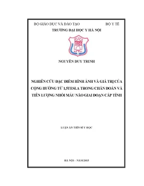Luận án tiến sĩ nghiên cứu vai trò cộng hưởng từ trong chẩn đoán và đánh giá kết quả điều trị ung thư biểu mô tế bào gan bằng phương pháp nút mạch hóa dầu