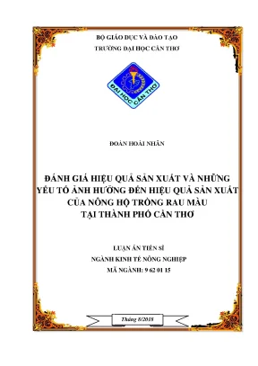 Luận án tiến sĩ đánh giá hiệu quả sản xuất và những yếu tố ảnh hưởng đến hiệu quả sản xuất của nông hộ trồng rau màu tại thành phố cần thơ