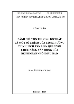 Luận án tiến sĩ đánh giá tổn thương bó tháp và một số chỉ số của cộng hưởng từ khuếch tán liên quan với chức năng vận động của bệnh nhân nhồi máu não