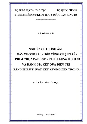 Luận án tiến sĩ y học nghiên cứu hình ảnh gãy xương sai khớp cùng chậu trên phim chụp cắt lớp vi tính dựng hình 3d và đánh giá kết quả điều trị bằng phẫu thuật kết xương bên trong