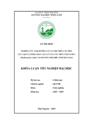 Luận văn nghiên cứu ảnh hưởng của vị trí trên cây đến cấu tạo và tính chất vật lí của cây trúc sào tuổi 5 tại trường đại học nông lâm thái nguyên