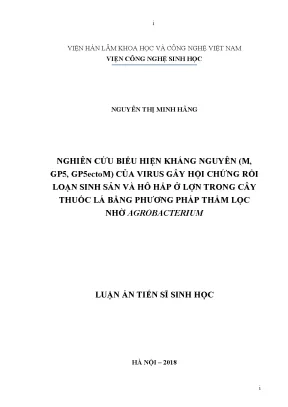 Luận án tiến sĩ sinh học nghiên cứu biểu hiện kháng nguyên m gp5 gp5ectom của virus gây hội chứng rối loạn sinh sản và hô hấp ở lợn trong cây thuốc lá bằng phương pháp thẩm lọc nhờ agrobacterium