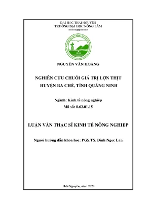 Luận văn thạc sĩ nghiên cứu chuỗi giá trị lợn thịt tại huyện ba chẽ quảng ninh