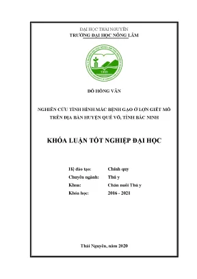 Luận văn nghiên cứu tình hình mắc bệnh gạo ở lợn giết mổ trên địa bàn huyện quế võ tỉnh bắc ninh