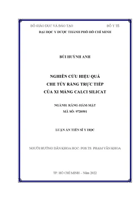 Luận án tiến sĩ y học nghiên cứu hiệu quả che tủy răng trực tiếp của xi măng calci silicat