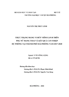 Luận án tiến sĩ y tế công cộng thực trạng mang vi rút viêm gan b trên phụ nữ mang thai và kết quả can thiệp dự phòng tại thành phố hải phòng