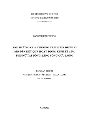 Luận án tiến sĩ ảnh hưởng của chương trình tín dụng vi mô đến kết quả hoạt động kinh tế của phụ nữ tại đồng bằng sông cửu long